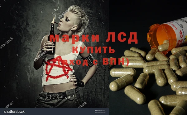 стаф Белоозёрский
