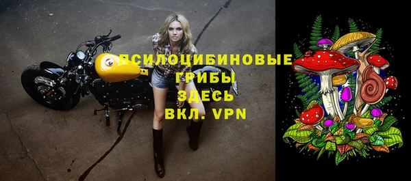 стаф Белоозёрский